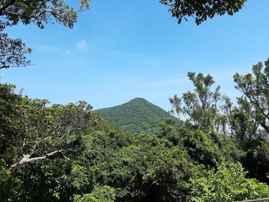 觀音山尋寶之林梢 楓櫃斗湖 福隆山 尖山_1031615