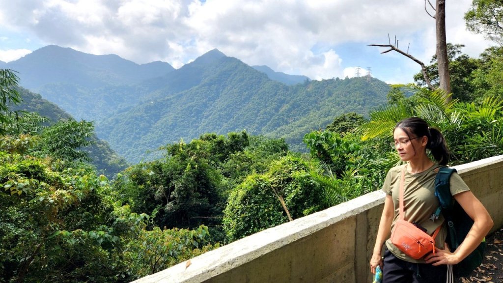 【中級山】有熊森林，谷關三雌白冷山封面圖