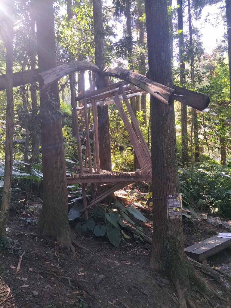 2020 10 28 東眼山自導式步道_1146594