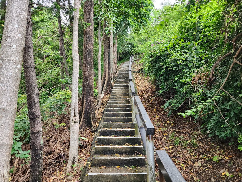 台東｜鯉魚山_2638596