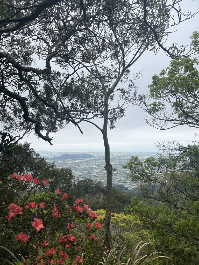 2024/03/29火炎山_2749039