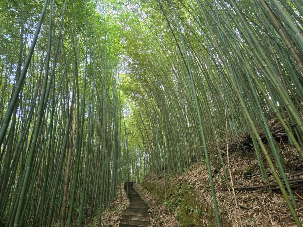 鐘樓古道、獅潭觀魚步道封面圖