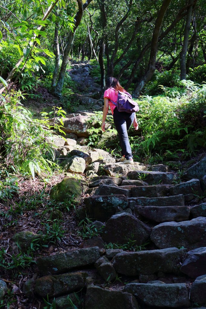 金面山。文間山。劍潭山_523798