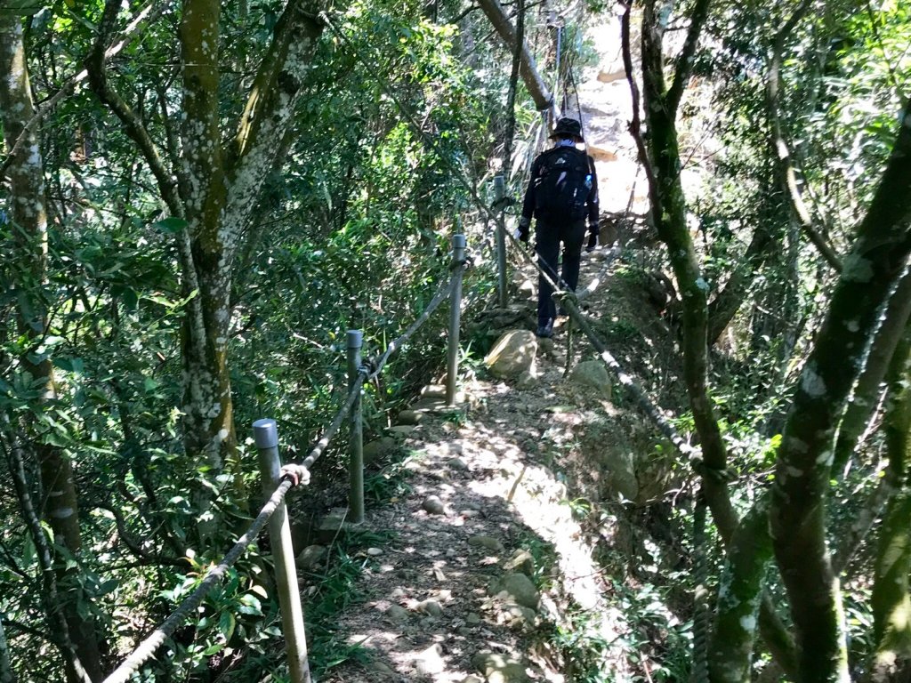 三員縱走下銅鑼_633452