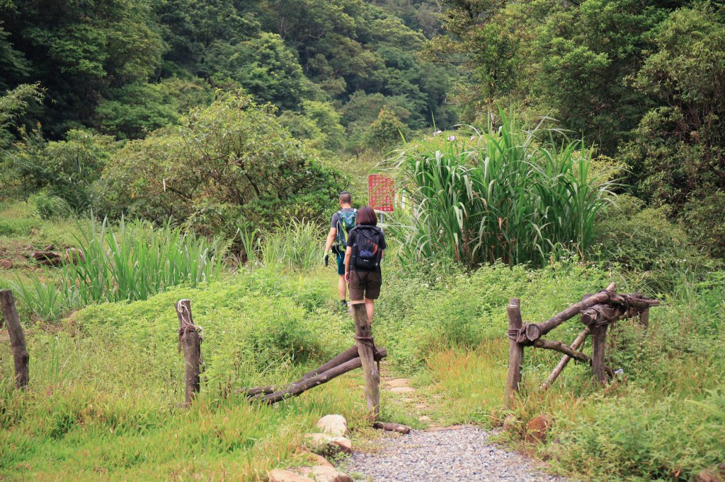 【淡蘭中路】崩山坑~虎豹潭古道 | 單日健行好去處_1023700