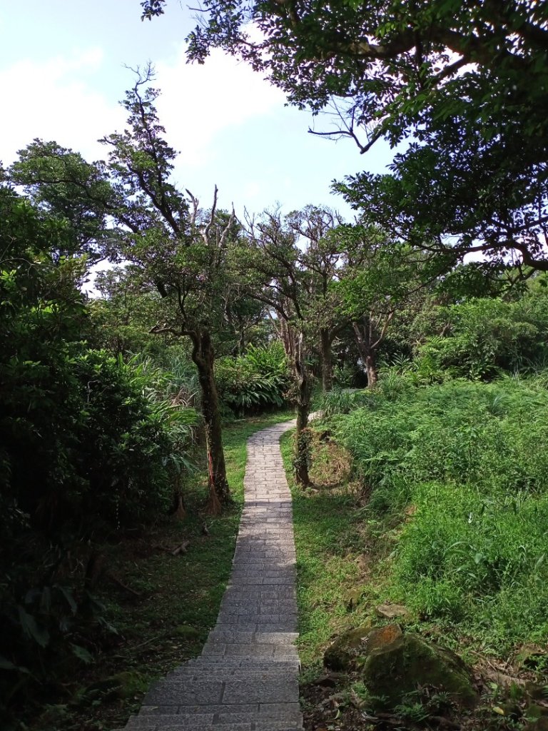 【山系野遊】汐止大尖山-茄苳古道秀峰瀑布_1118971