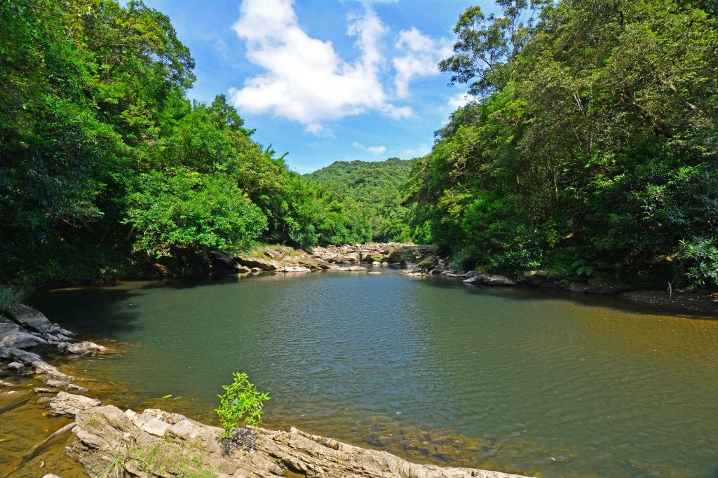 北勢溪古道_1029965