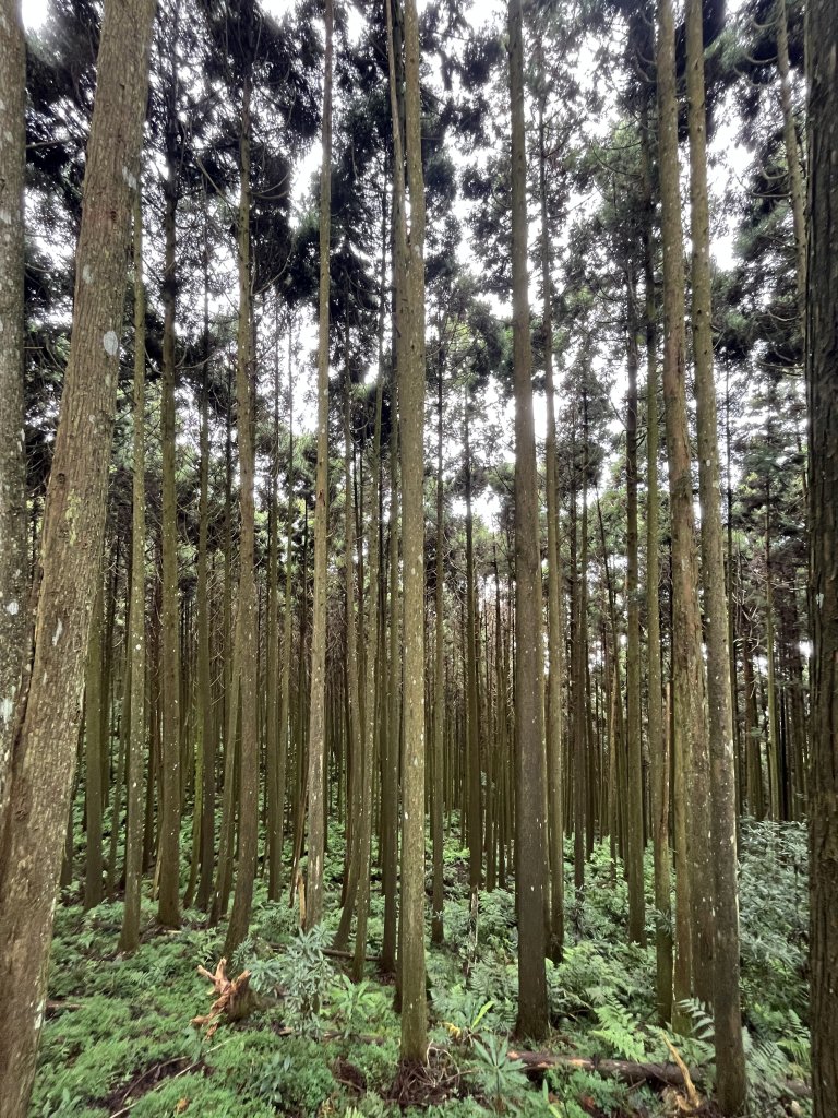 20231021向天湖山_2582943