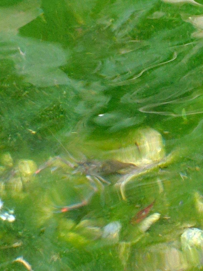 守關山南峰 守關山 守城大山_2919132