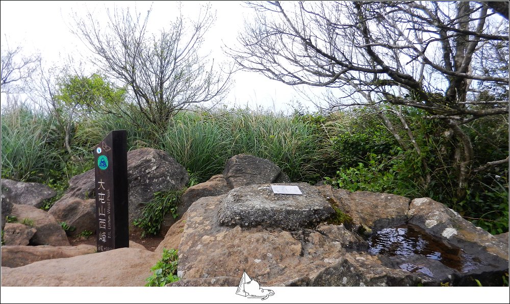 大屯山群峰步道(大屯山主峰、南峰、西峰)_882637