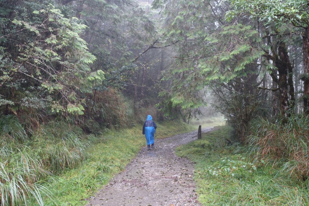 翠峰湖環山步道_1141474