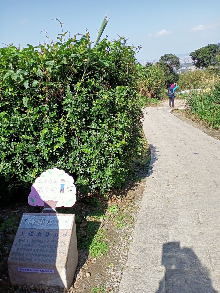 【臺北大縱走 7】貓空站→樟樹、飛龍步道_1254285