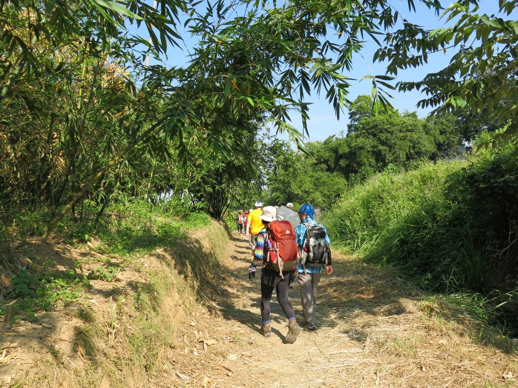 新竹小百岳～飛鳳山步道_46950