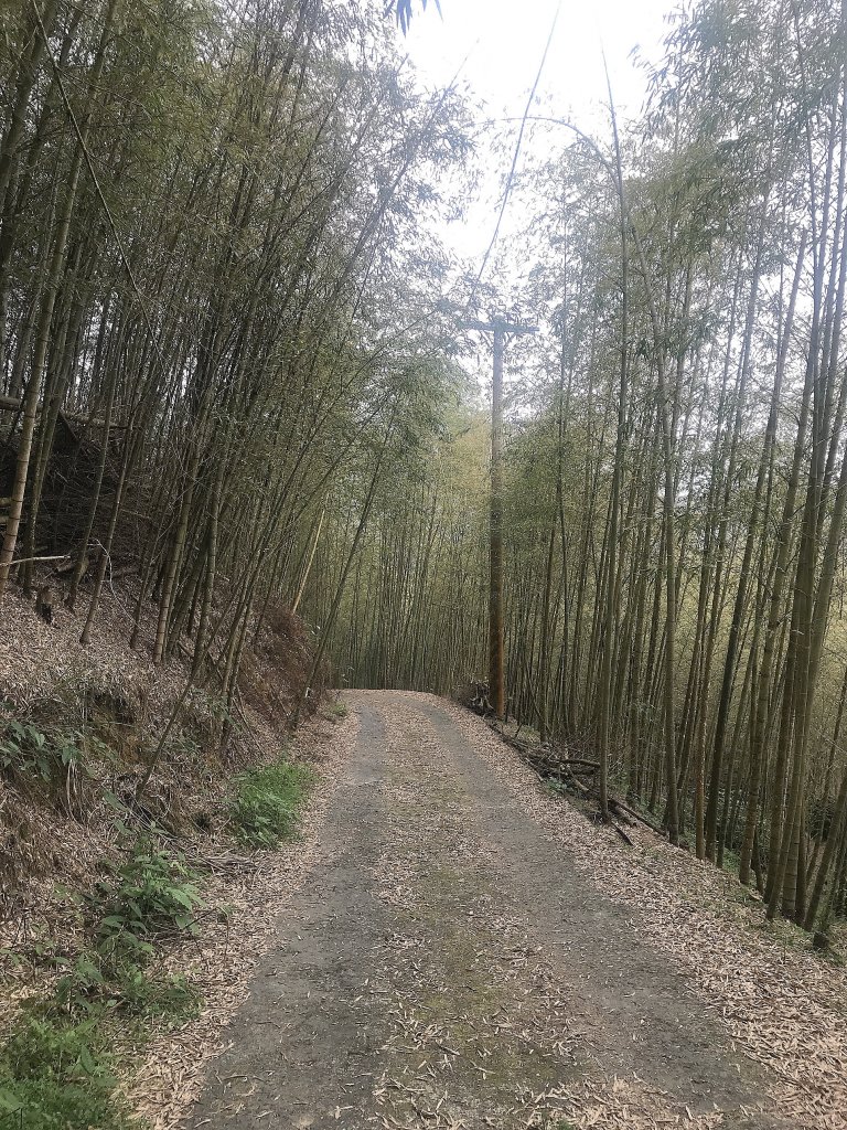 ~  集 集 大 山  ~_1634131