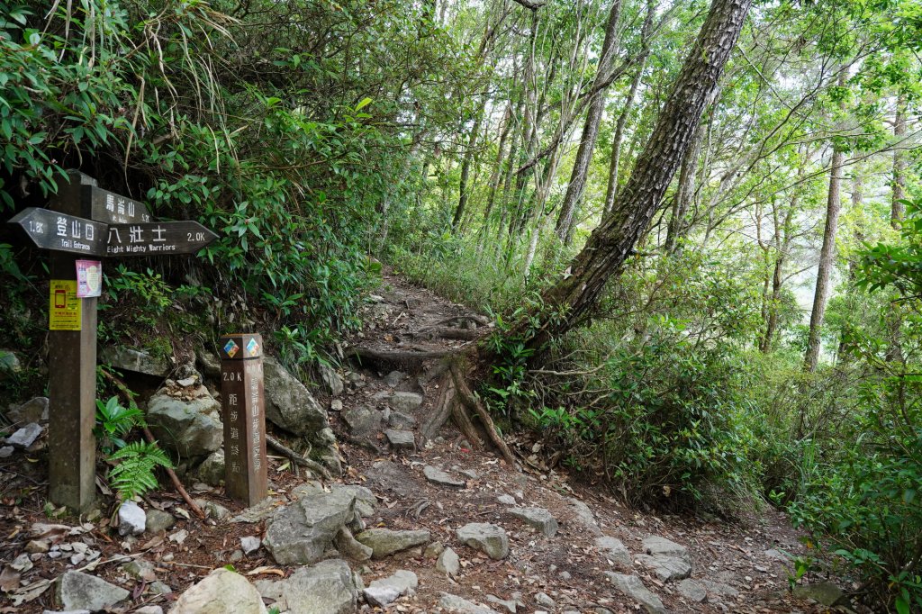 台中 和平 馬崙山_2796938