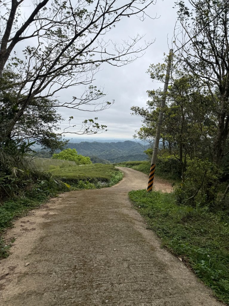 獅猿縱走_2749097