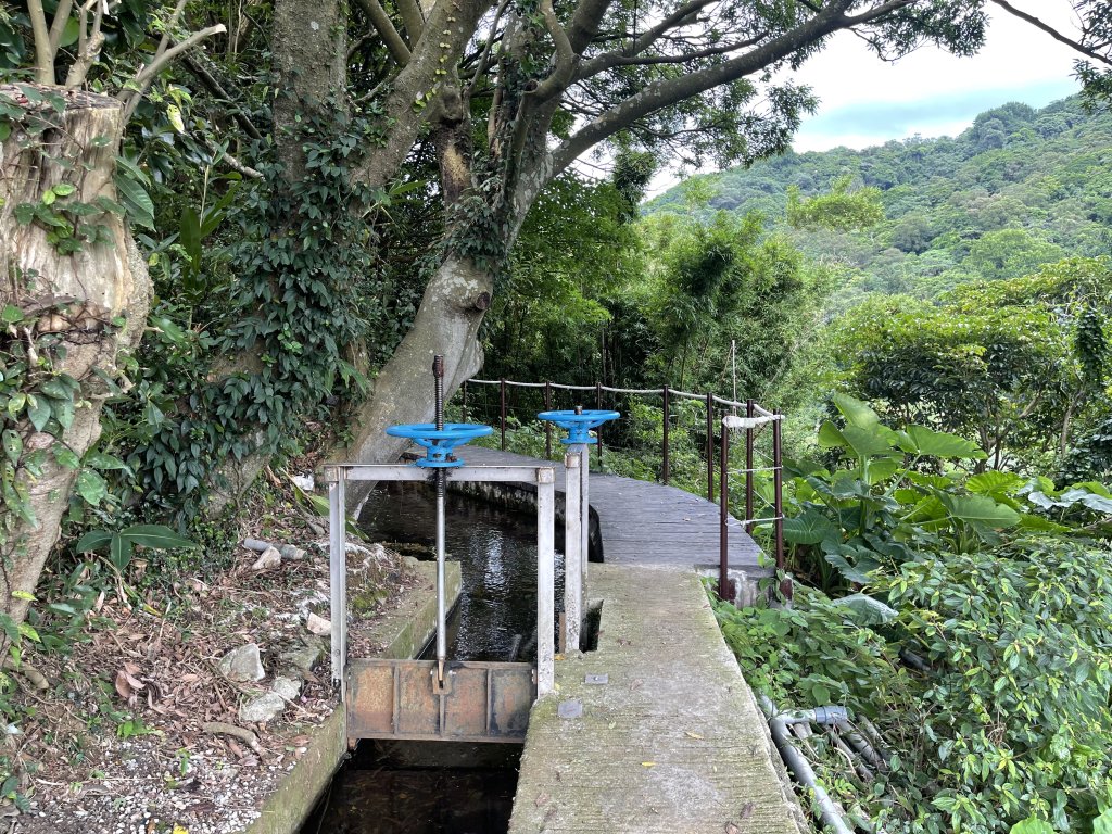 紗帽山半嶺水圳步道_2650052