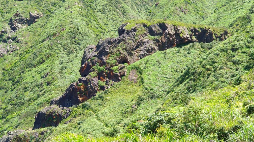 燦光寮山、黃金三稜_141635