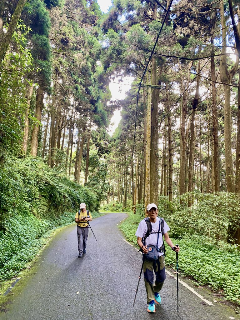 避暑勝地--溪頭    2024.6.20_2534793