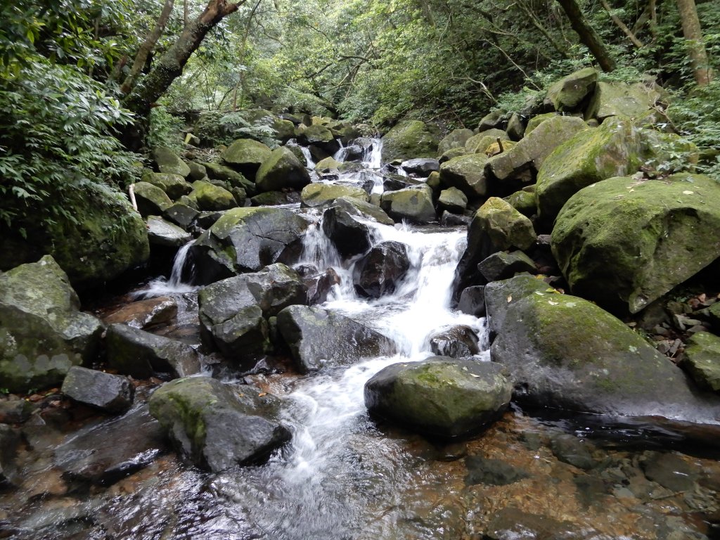  20190525_小觀音山群峰_593552