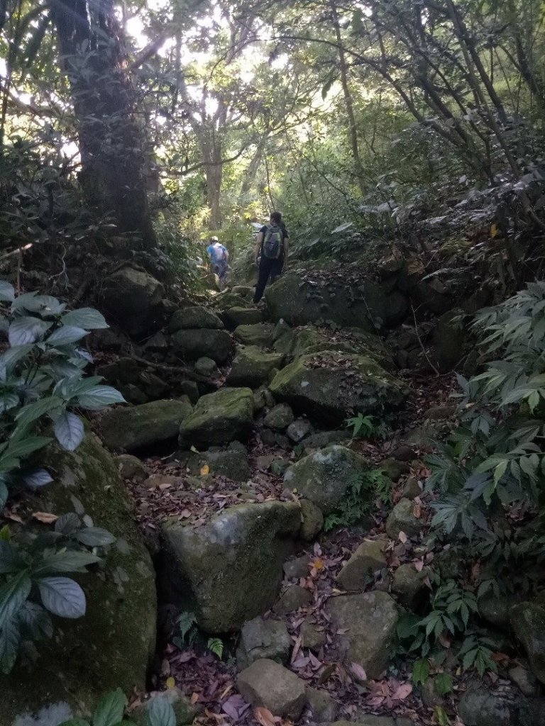 大屯谷秘境~大屯南峰~竹子湖_449169