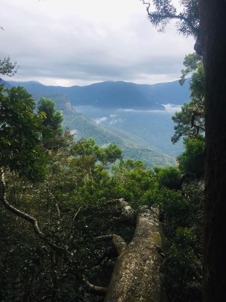 橫龍古道、騰雲駕霧、雲海處處、彩虹彎彎_1924717