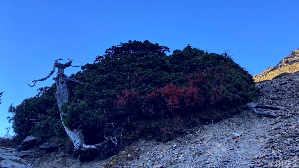 2023-11-27 玉山主峰_2365032