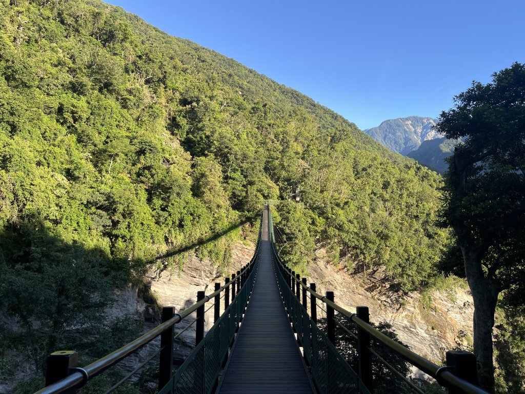 [玉山尋寶任務-03/12] 2025_0810 瓦拉米步道_2857390