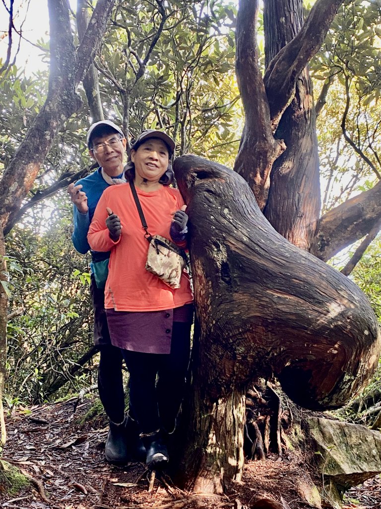 橫嶺山-沙蓮山-笛吹山連走    2022/7/5封面圖