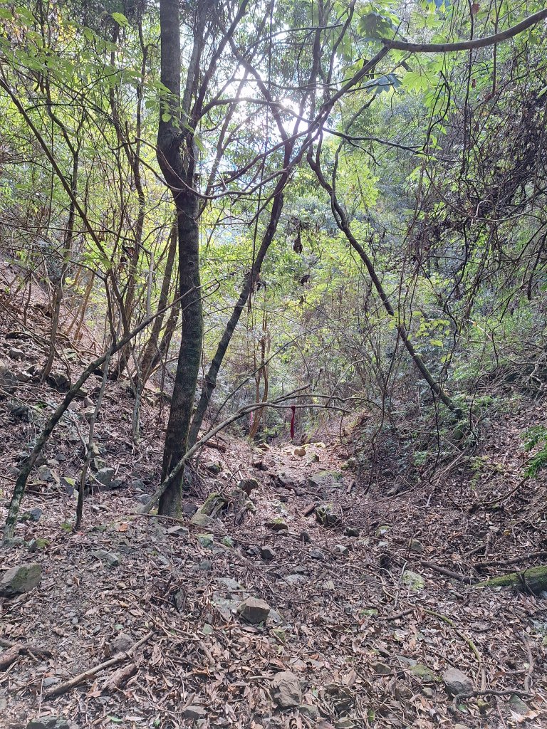 雪見駐在所+雪見山20251225_2971632