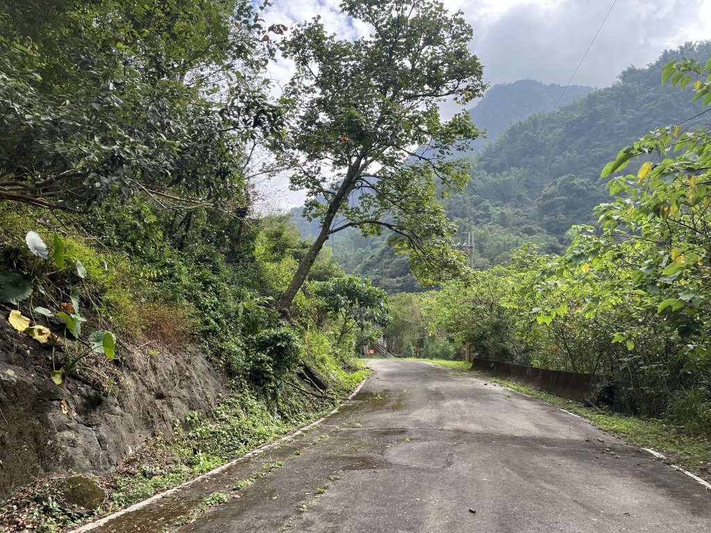 [健走複利 用愛走遍全臺灣] 2024_1123 嗡嗡大峽谷_2653632