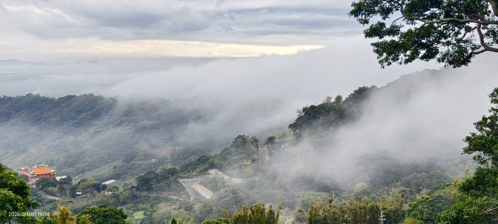#雲瀑 #雲海 #琉璃光 #天空之城（林口）#觀音山 #林梢步道 3/1_3008581