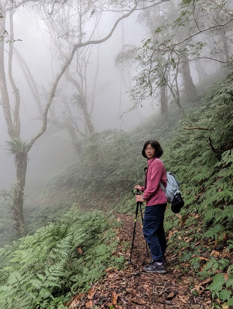 【小百岳055】雲林 石壁山_1959489