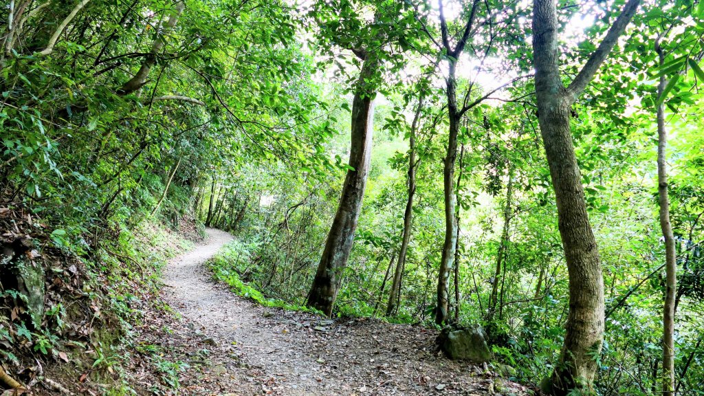 雲森瀑布_2872192