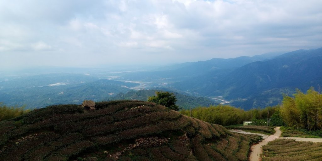 雲嘉五連峰+後棟仔山挑筍古道 望風斷崖_958067