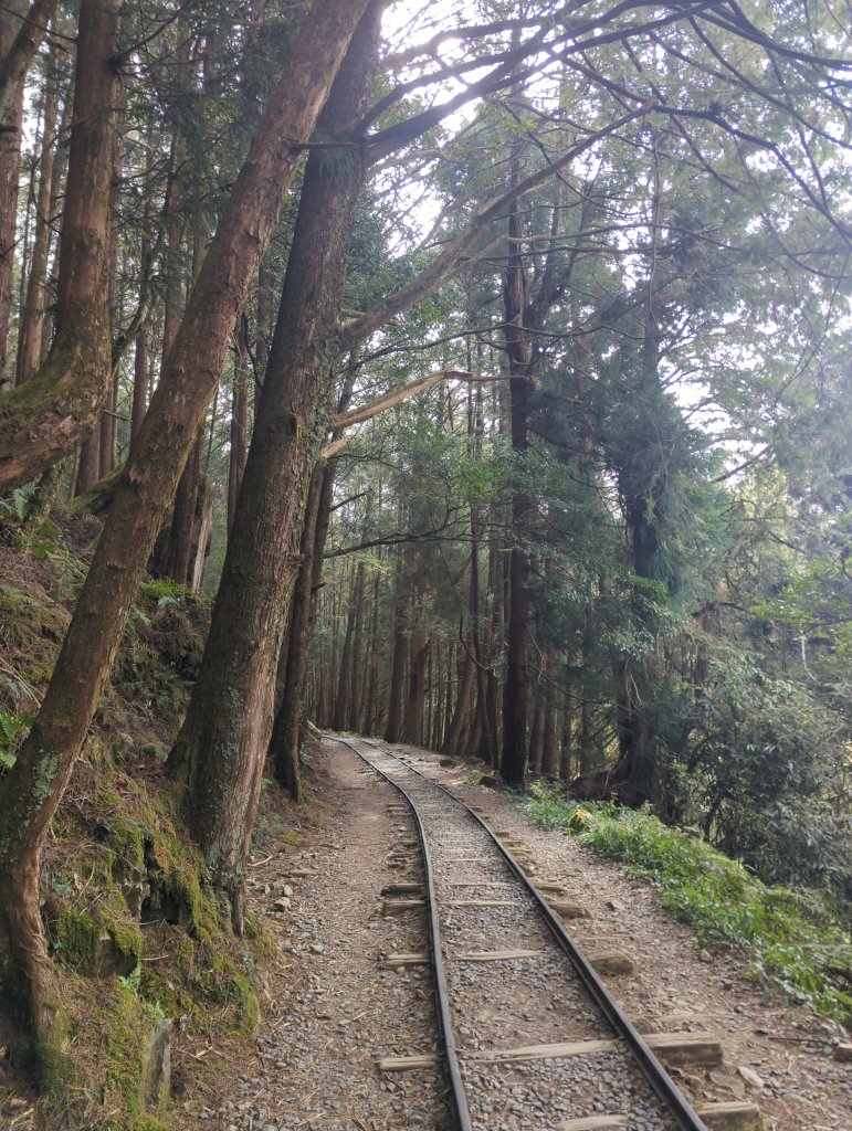 2026.02.14－特富野古道_3013701
