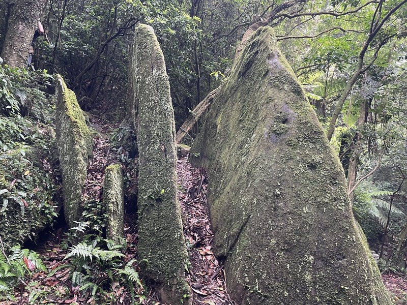 內寮古道-山川石封面圖