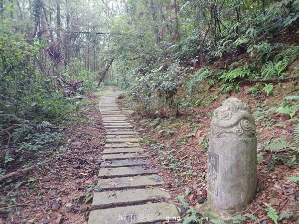 【新竹橫山】綠蔭夾道流水淙淙。2024森遊竹縣。 騎龍古道_2616243