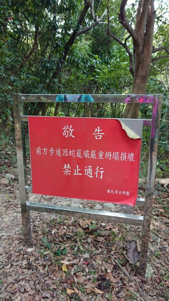 步道巡訪員│桃源里森林步道2月巡訪_821593