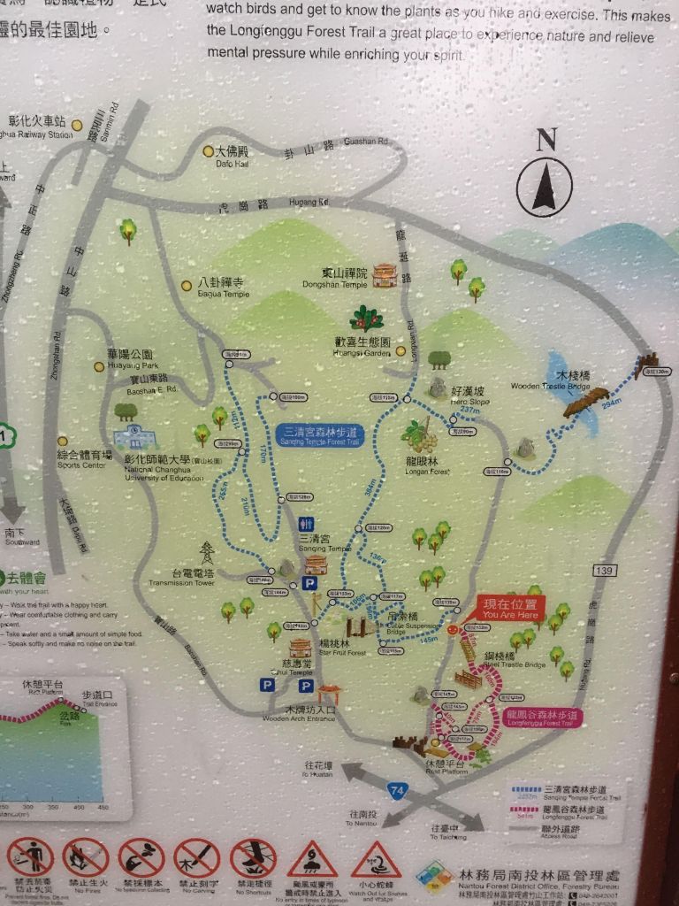 桃源森林步道_396699