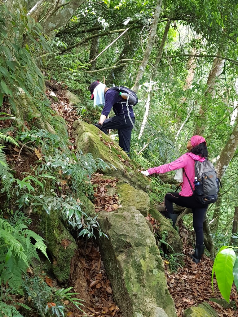 復興三尖之那結山_1423073