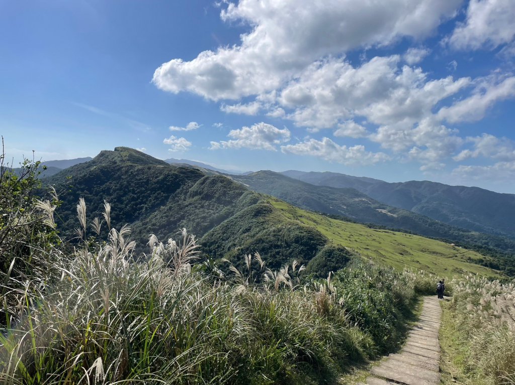 2023芒花季_2357410