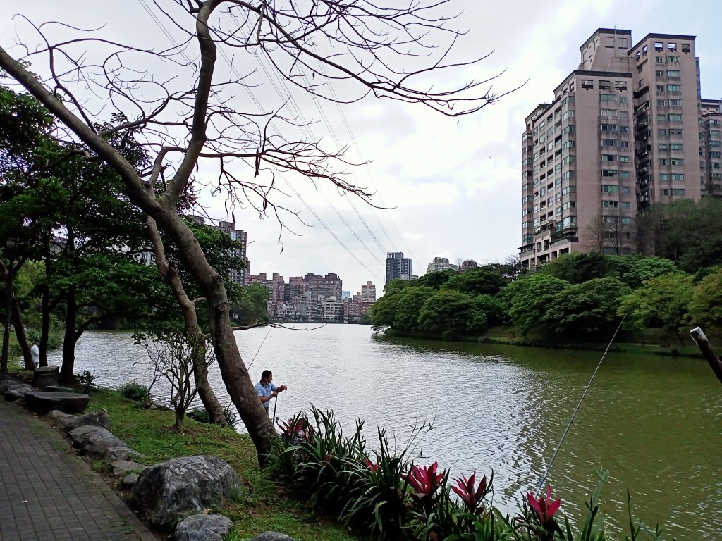 【三湖縱走】內湖大湖公園→康樂山→明舉山→內溝溪生態展示館→汐止內溝山→翠湖→金龍湖_2072554