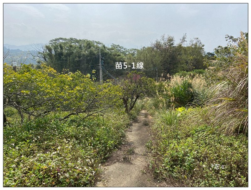 火炎山、龍峎頂步道 O型路線_2783790