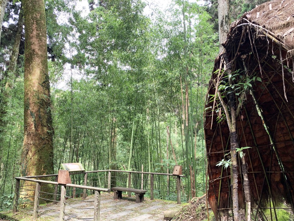 納涼去～頂湖上大凍山 20190622_621388