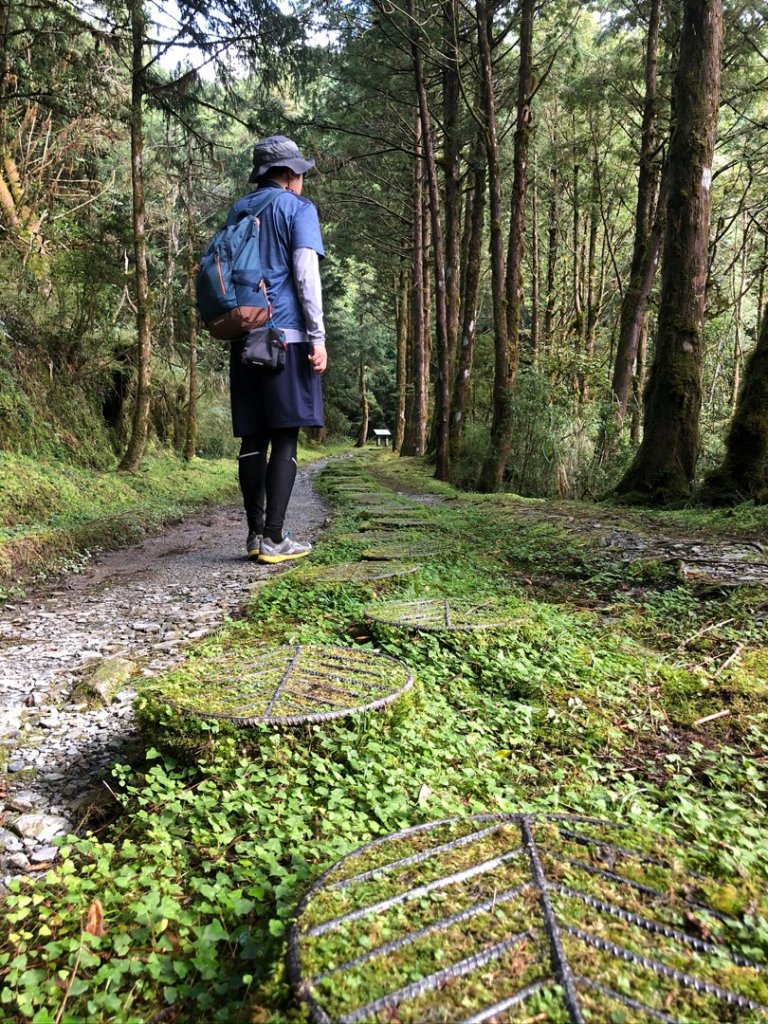 山毛櫸步道封面圖