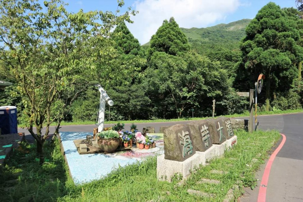 陽明山  菜公坑山 反經石   水車寮步道。林木蓊鬱  豐富的蕨類植披，絕佳避暑古道_2173998