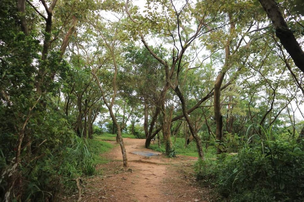 〔內湖〕文間山，劍南蝶園，劍潭古寺，婆婆橋 鄭成功廟步道_2249291