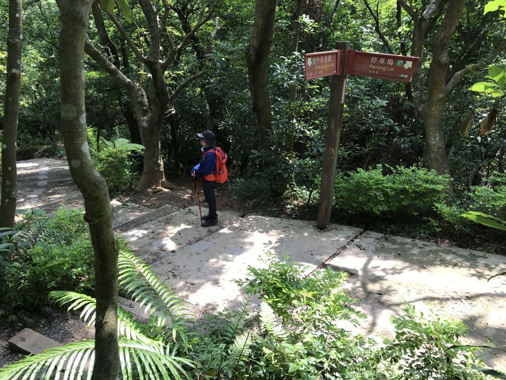 圓山水神社上劍潭山出故宮_139152