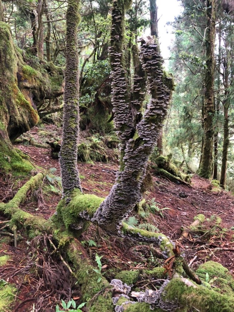 散落的珍珠-加羅湖_636668